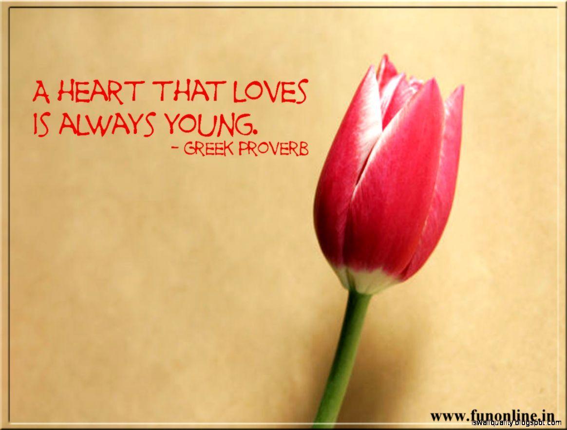 1164x883 Young And Old Love Quote Wallpaper .iswallquality.