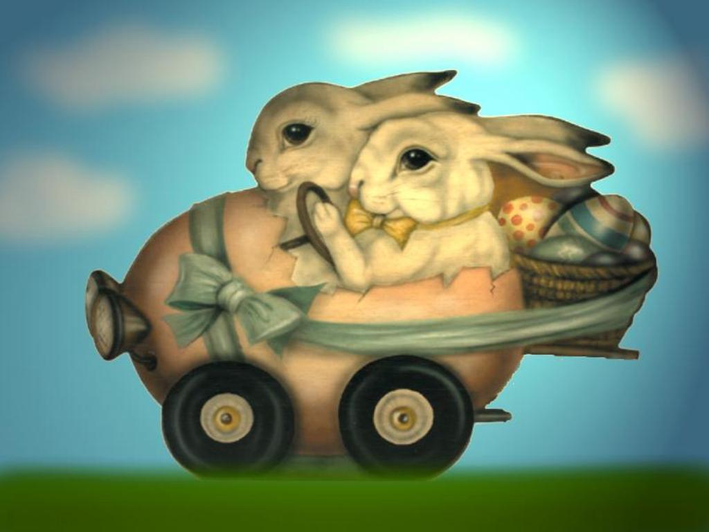 1024x768 Hare Travel desktop PC and Mac wallpaper