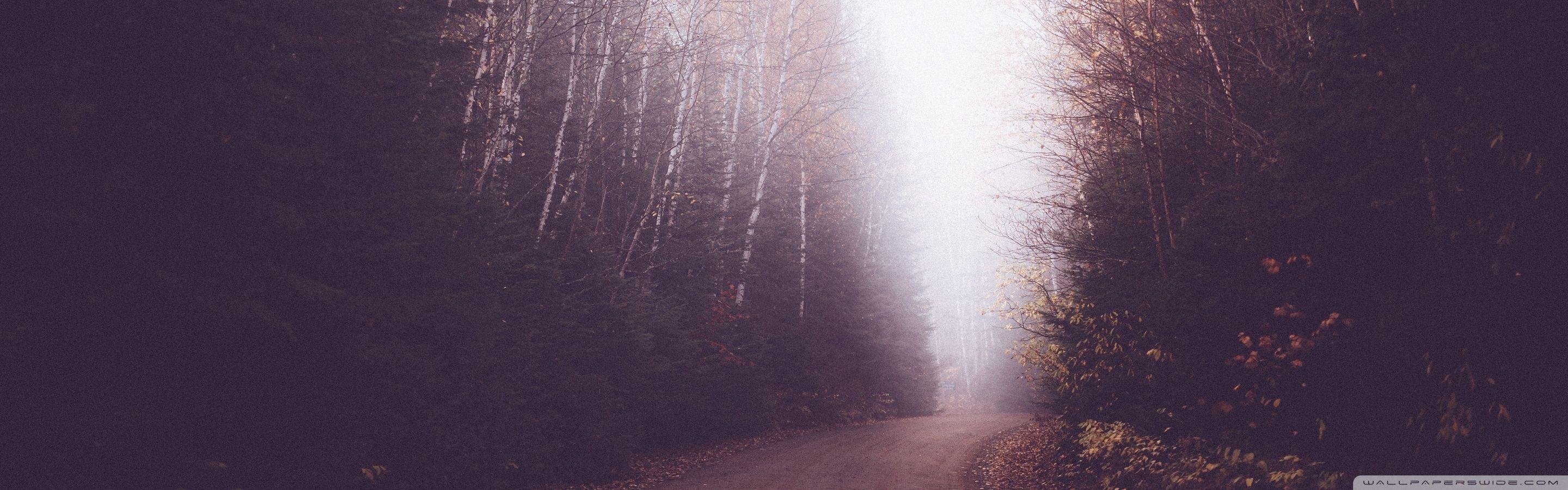 2880x900 Vintage Foggy Forest Road Ultra HD Desktop Background Wallpaper for 4K UHD TV : Widescreen & UltraWide Desktop & Laptop : Multi Display, Dual Monitor : Tablet