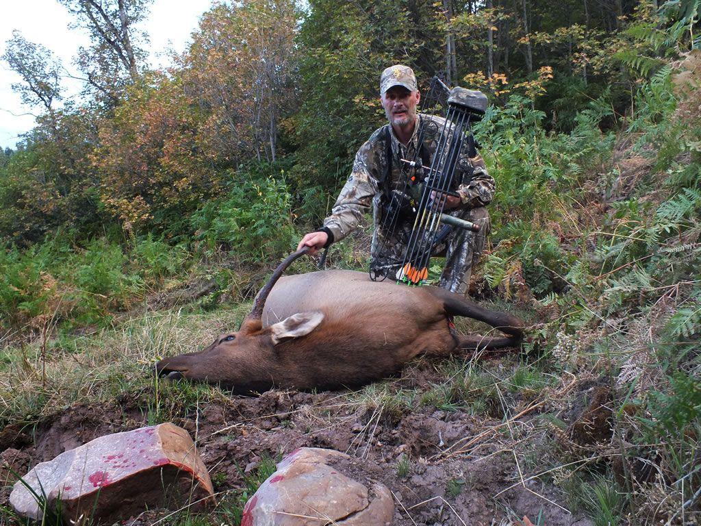 1024x768 Group of Hunting Wallpaper 3030