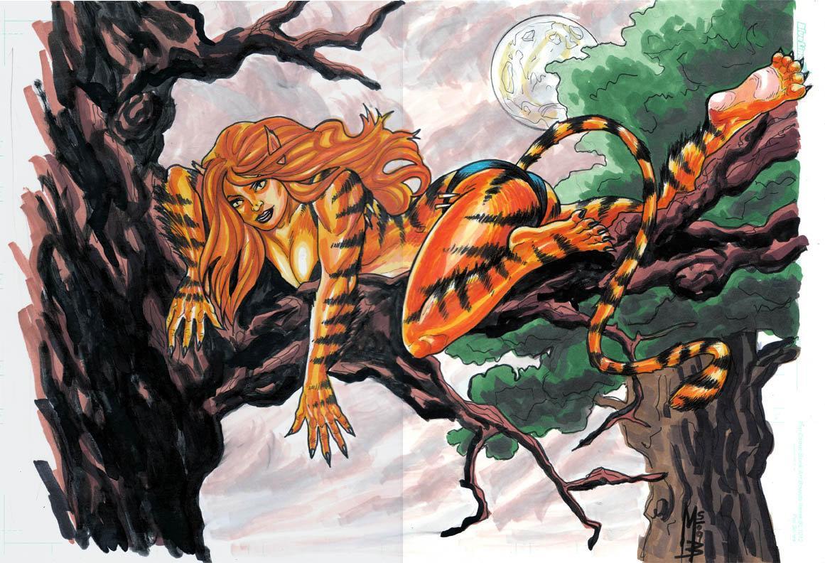 1161x792 Tigra Marvel Wallpaper