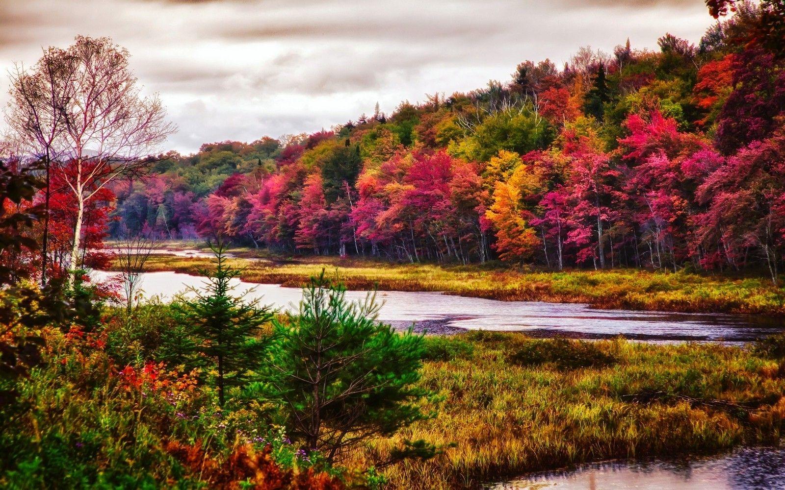 1600x1000 nature, Landscape, Trees, River, Fall, Forest, Colorful, New York State, Grass, Mountain, Clouds Wallpaper HD / Desktop and Mobile Background