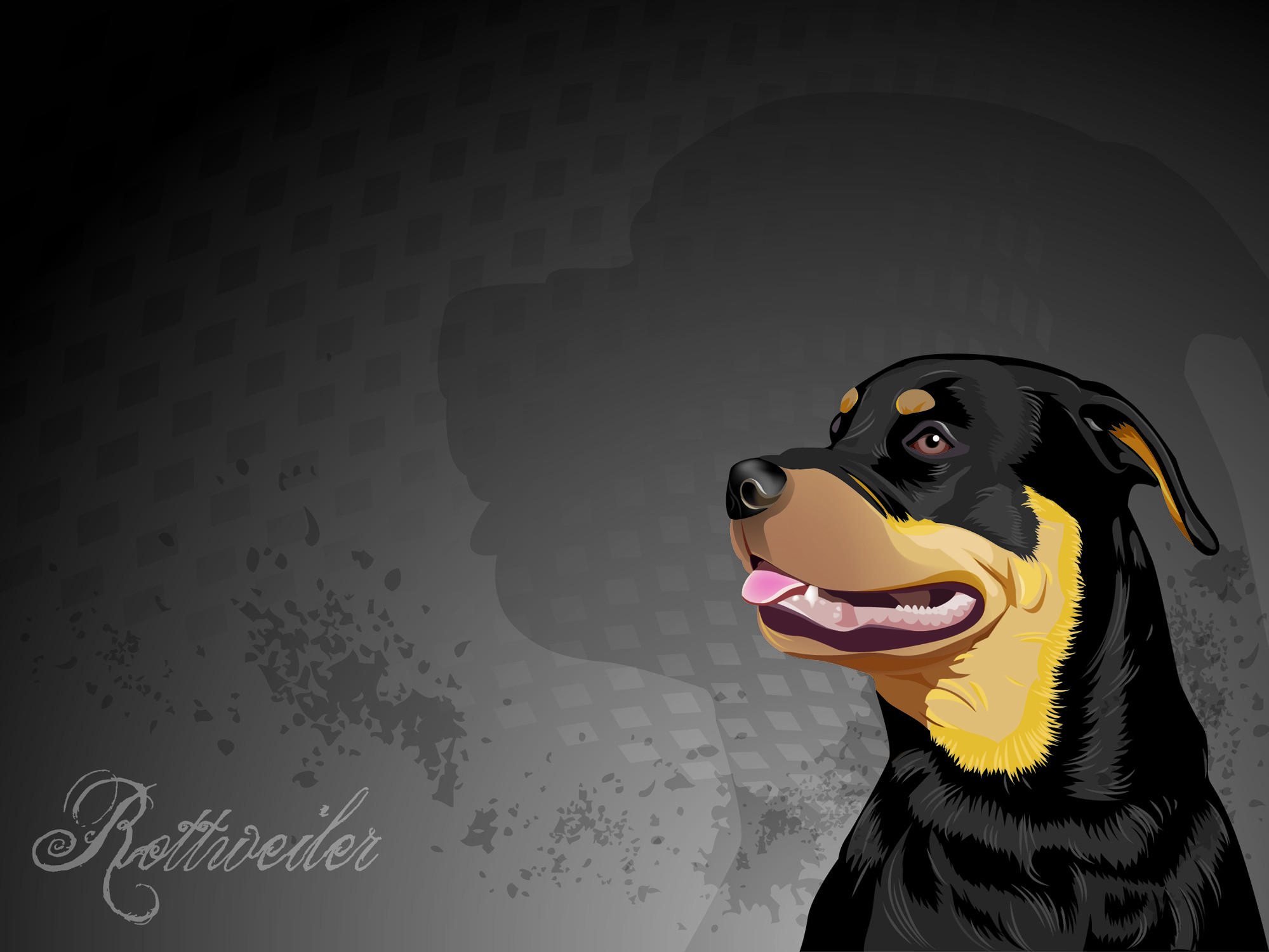 1999x1500 Rottweiler puppy wallpaper. Dogs, breeds and everything about our best friends