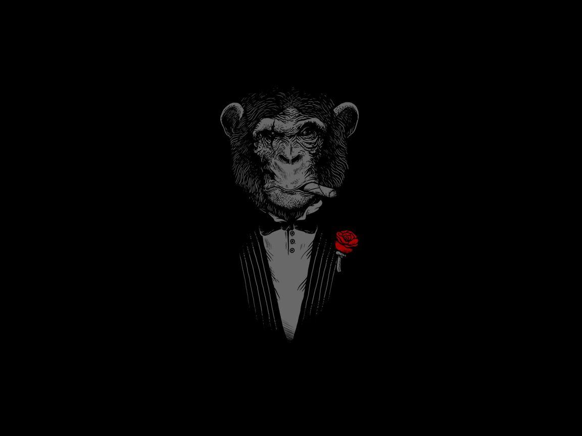 1152x864 monkeys, Smoking Wallpaper HD / Desktop and Mobile Background
