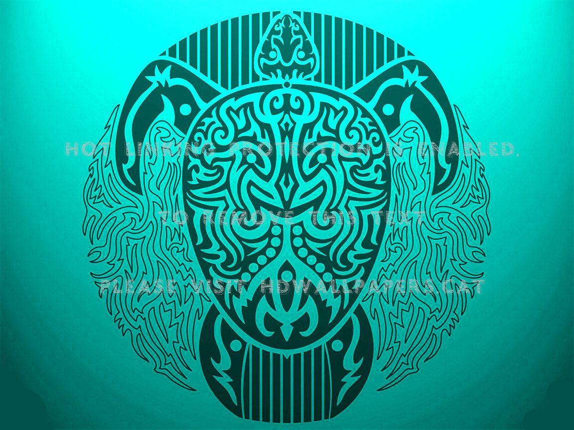 1152x864 turtle island american indian native soft