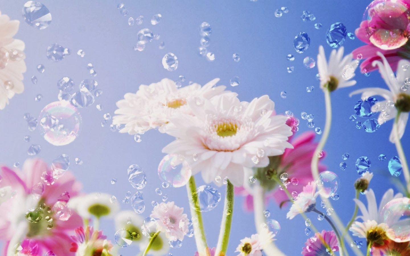 1440x900 Free download Bright flower wallpaper in high resolution for Get Bright flower [1440x900] for your Desktop, Mobile & Tablet. Explore Bright Floral Wallpaper. Bold Floral Wallpaper for Home, Bright
