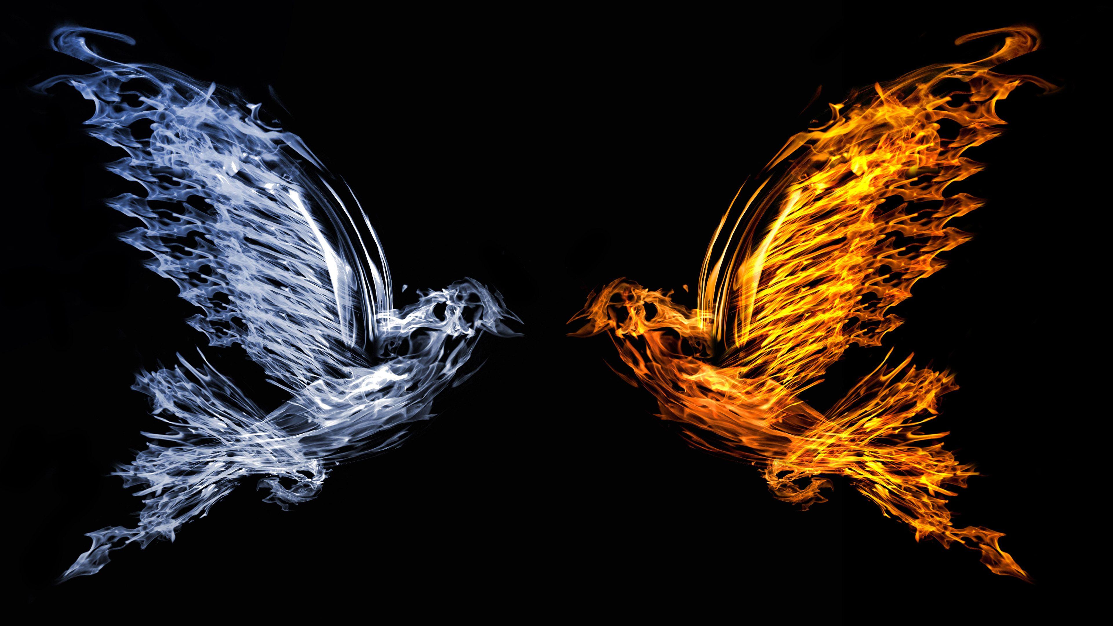 3840x2160 Bird Fire And Water, HD Artist, 4k Wallpaper, Image, Background, Photo and Picture