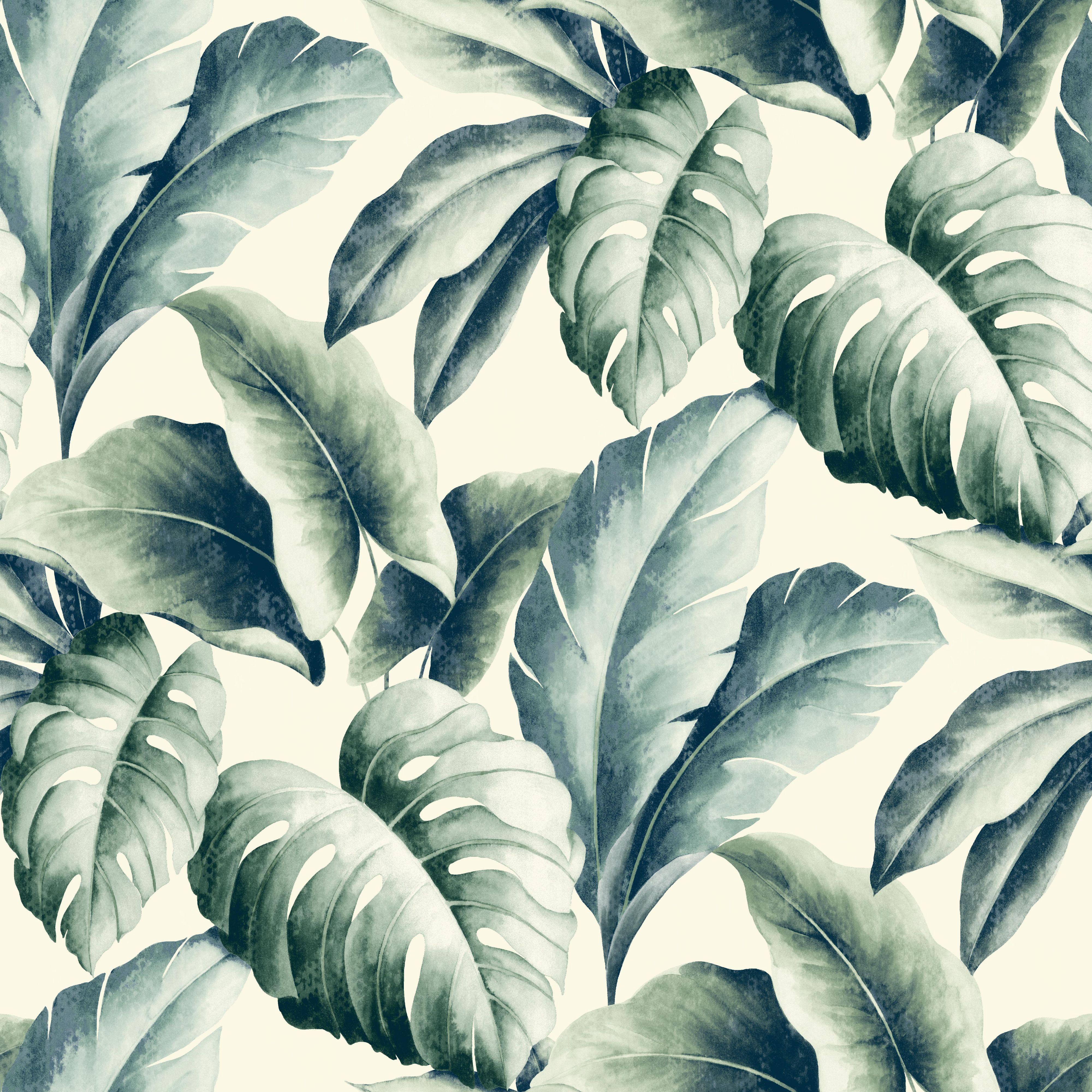 4000x4000 Green Tropical Leaves Wallpaper