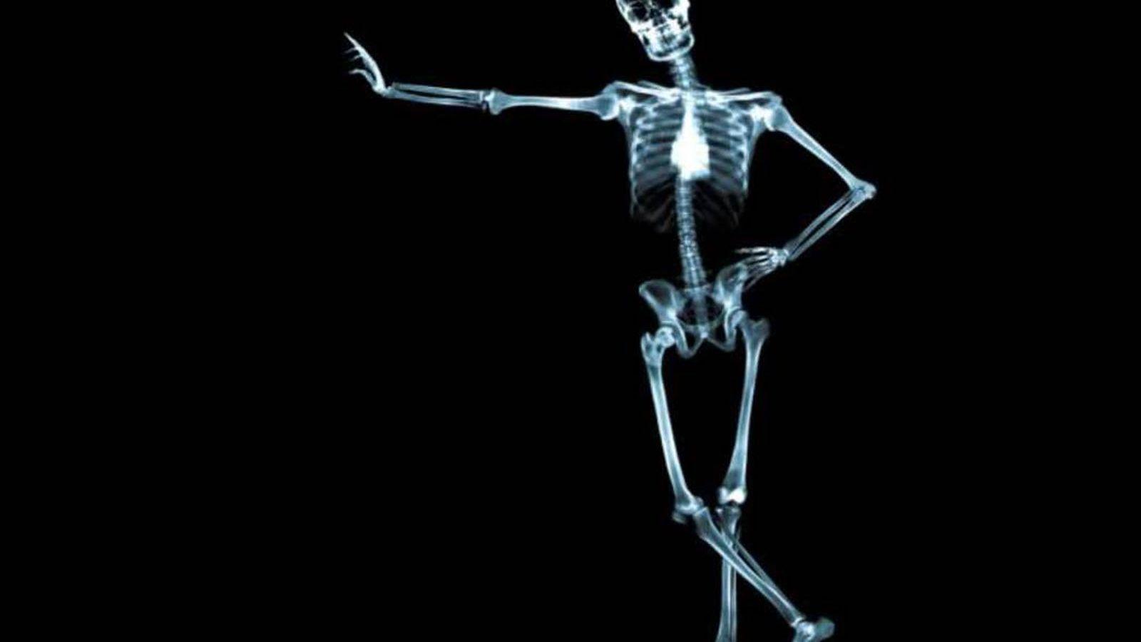 1600x900 Hình nền tải xuống miễn phí Skeleton Wallpaper [1600x1200] cho Máy tính để bàn, Di động & Máy tính bảng của bạn. Khám phá Hình nền Bộ xương dễ thương. Hình nền bộ xương dễ thương, Hình nền bộ xương, Hình nền bộ xương