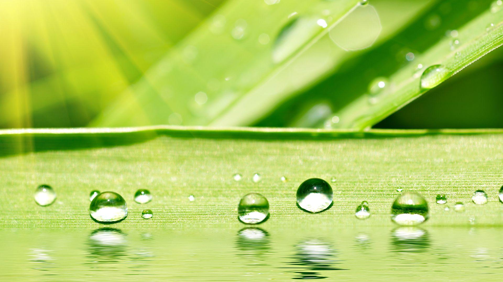 1920x1080 Free download Water Drops Wallpaper HD 3518 1920 x 1080 WallpaperLayercom [1920x1080] for your Desktop, Mobile & Tablet. Explore Water Drop HD Wallpaper. Water Droplets Wallpaper, HD Water Wallpaper, Black Water Wallpaper