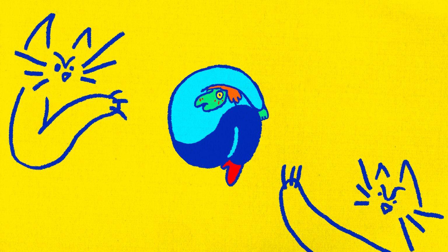 1536x864 Declan McKenna