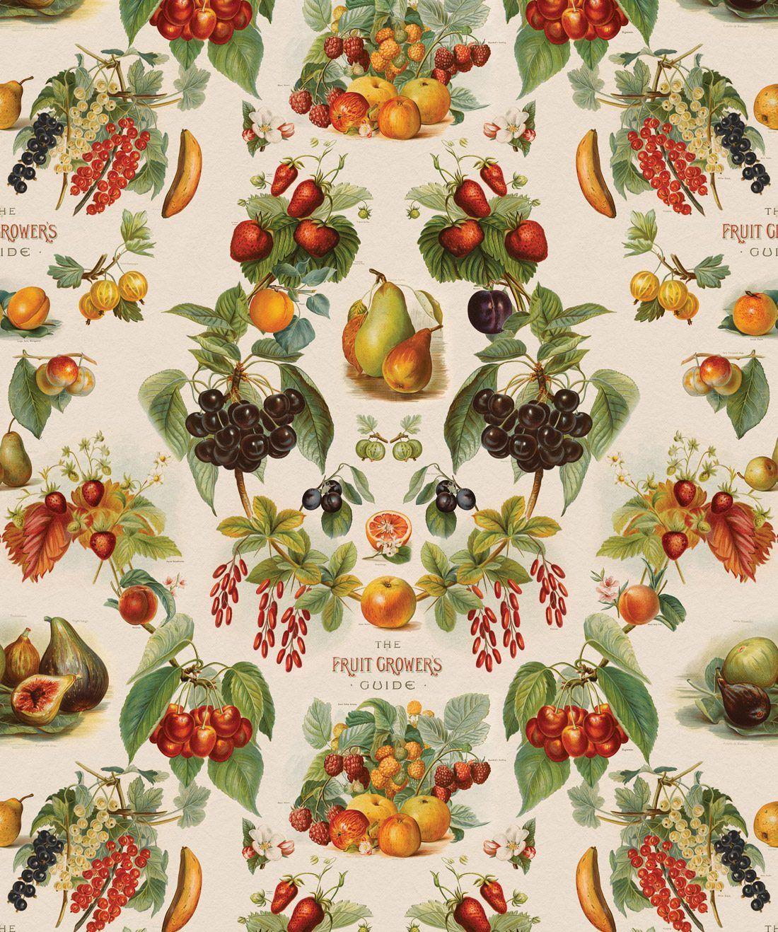 Vintage Fruit Wallpapers - Top Free Vintage Fruit Backgrounds