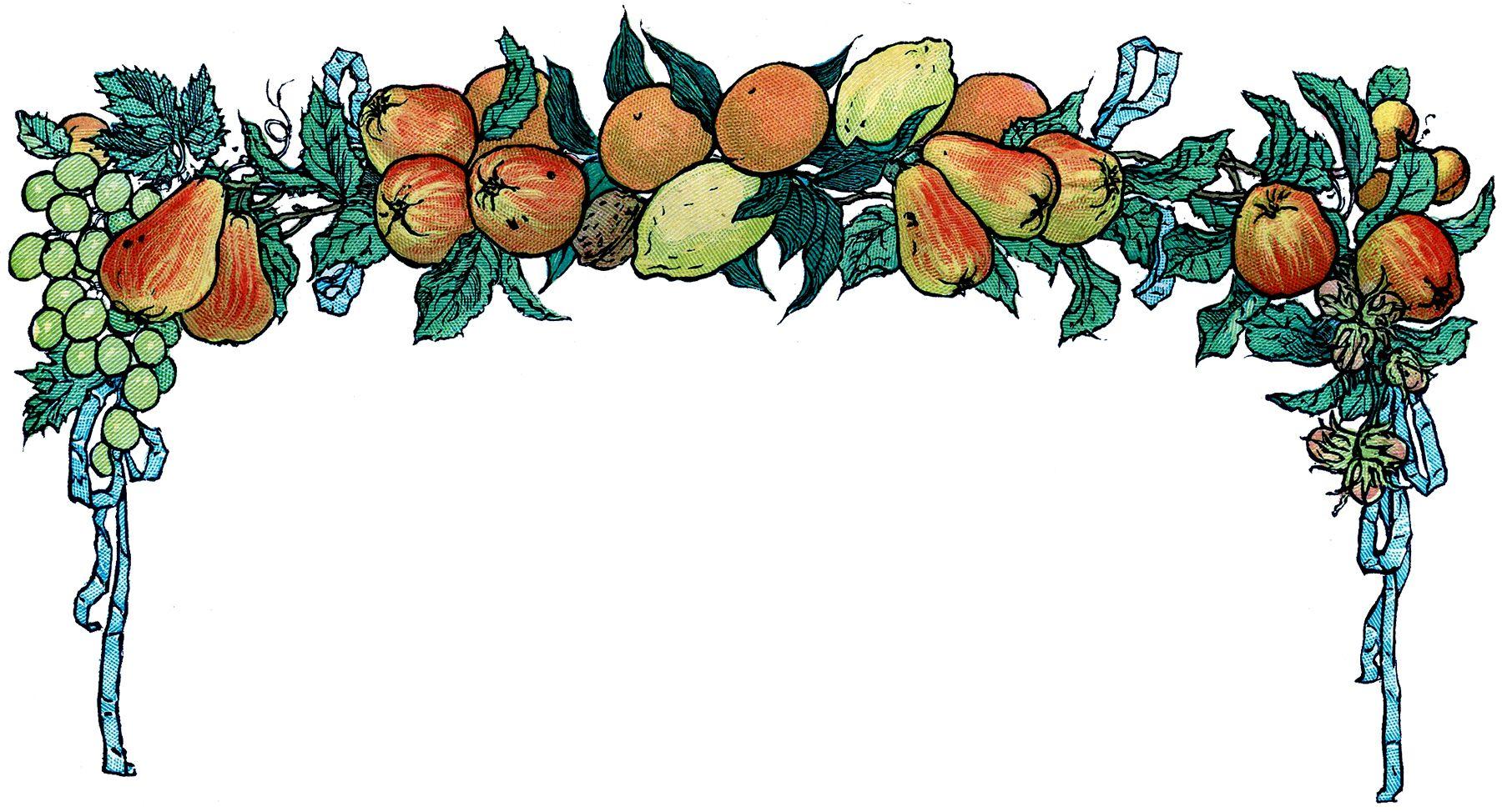 Vintage Fruit Wallpapers Top Free Vintage Fruit Backgrounds