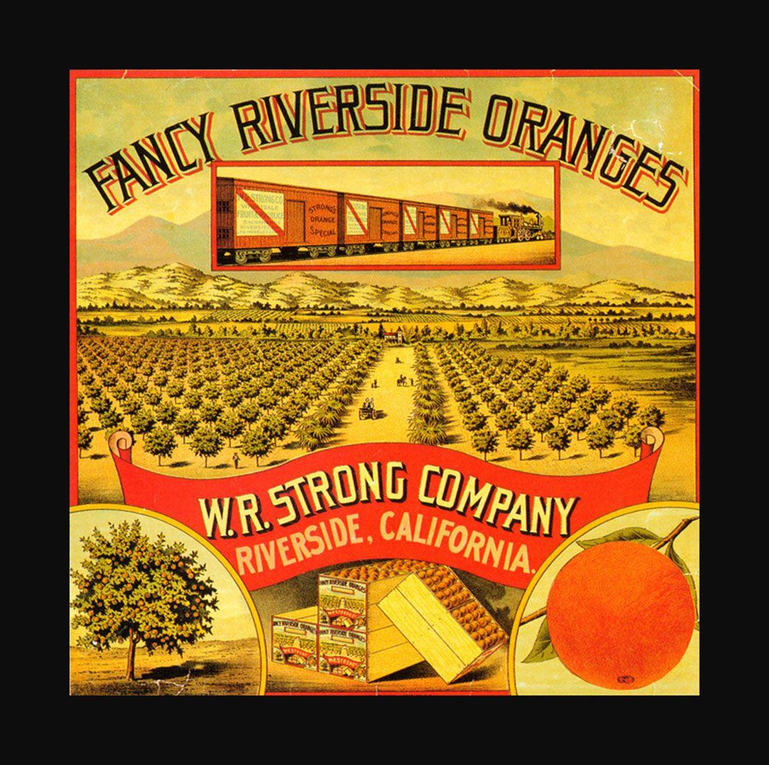 1086x1080 Riverside California Orangina Fruit Crate Labels