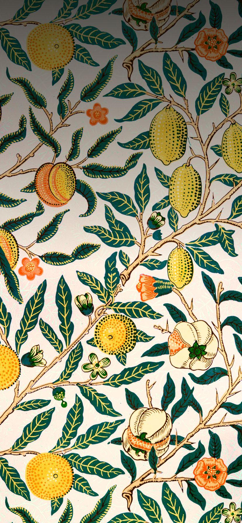 Vintage Fruit Wallpapers - Top Free Vintage Fruit Backgrounds