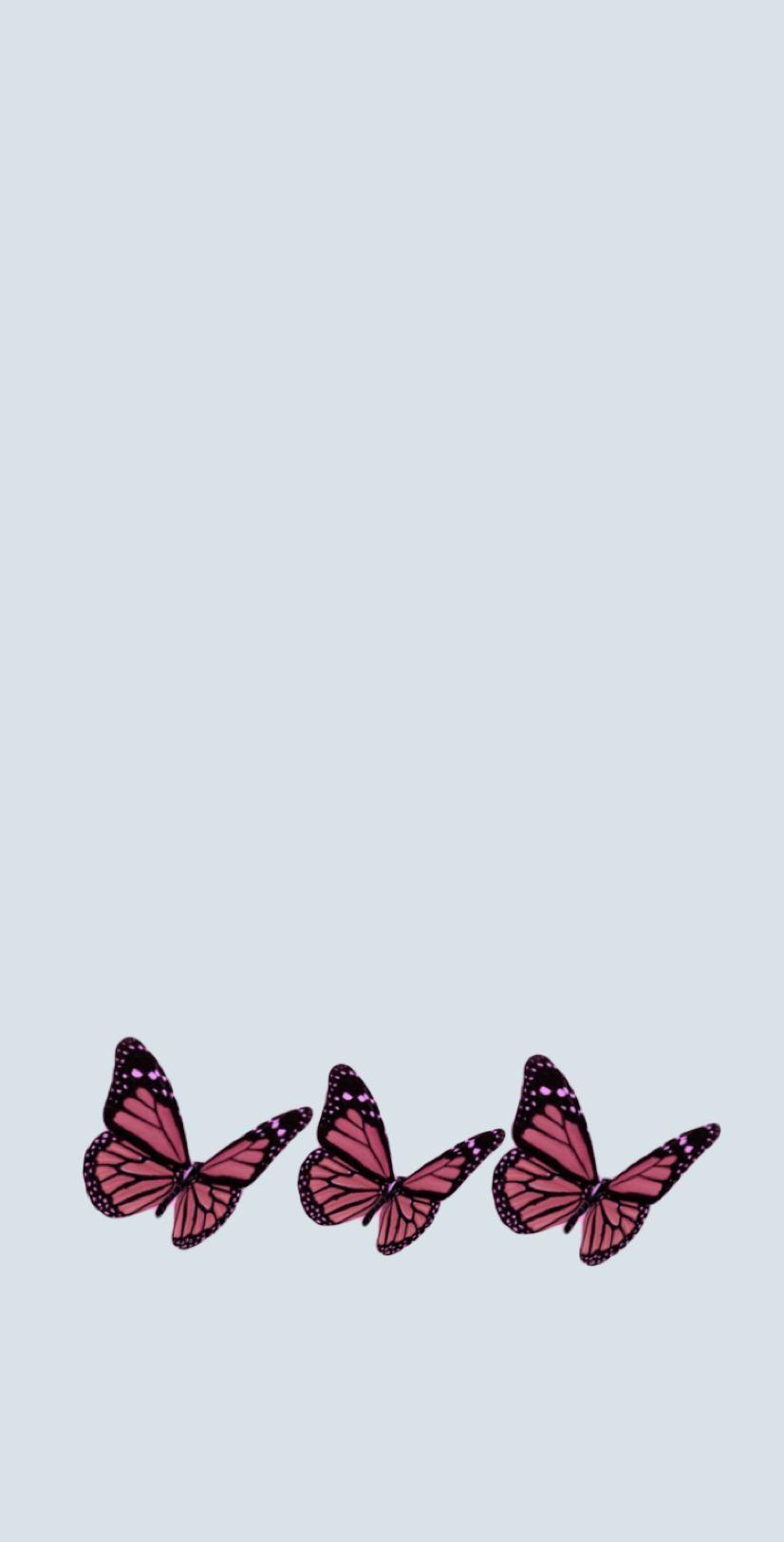 826x1624 Blue and Pink Butterfly Wallpaper. Butterfly wallpaper iphone, Pink wallpaper iphone, Butterfly wallpaper background