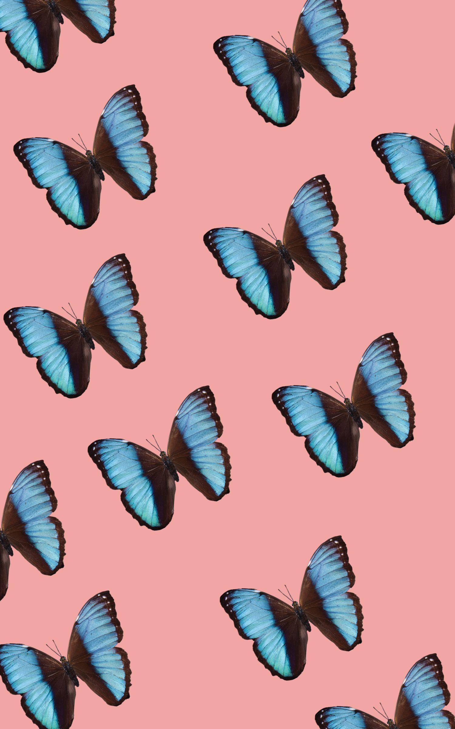 1500x2400 Pink Butterfly iPhone Wallpaper site. Blue butterfly wallpaper, Butterfly wallpaper iphone, Butterfly wallpaper