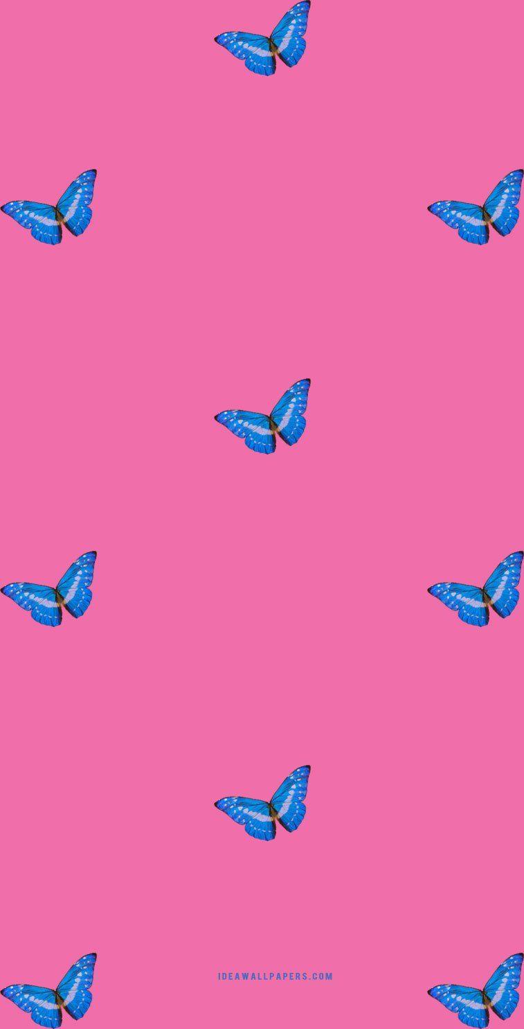 757x1485 Hình nền con bướm thẩm mỹ iPhone màu hồng