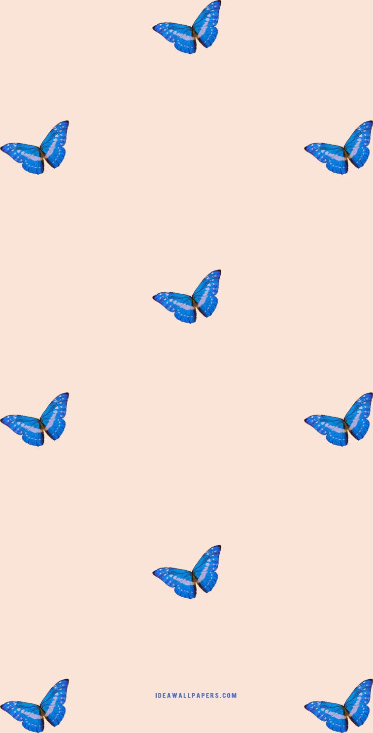 757x1485 Butterfly on pink peach background Wallpaper