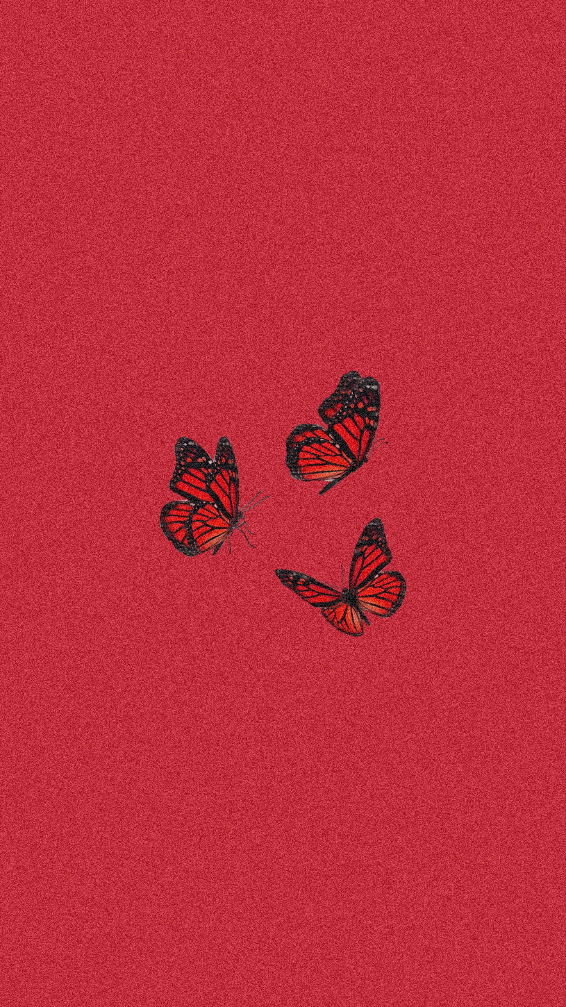 Red Butterfly Wallpaper by xXDarkKeybladeXx on DeviantArt