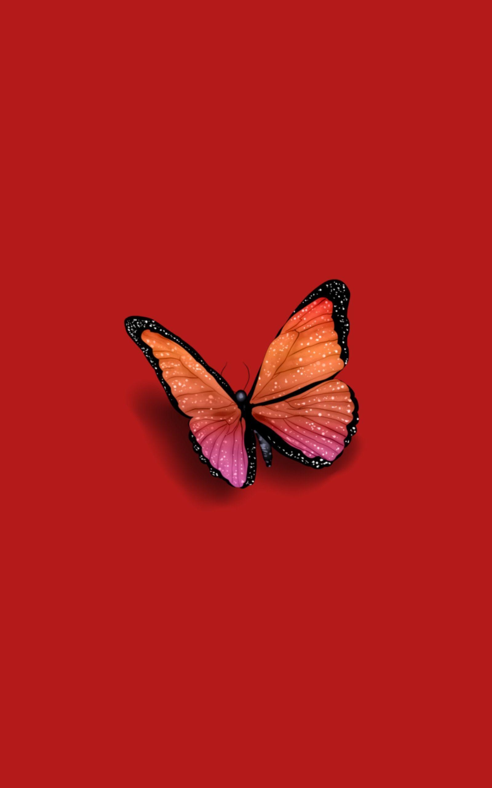 Cute Red Butterfly Wallpapers Top Free Cute Red Butterfly Backgrounds Wallpaperaccess
