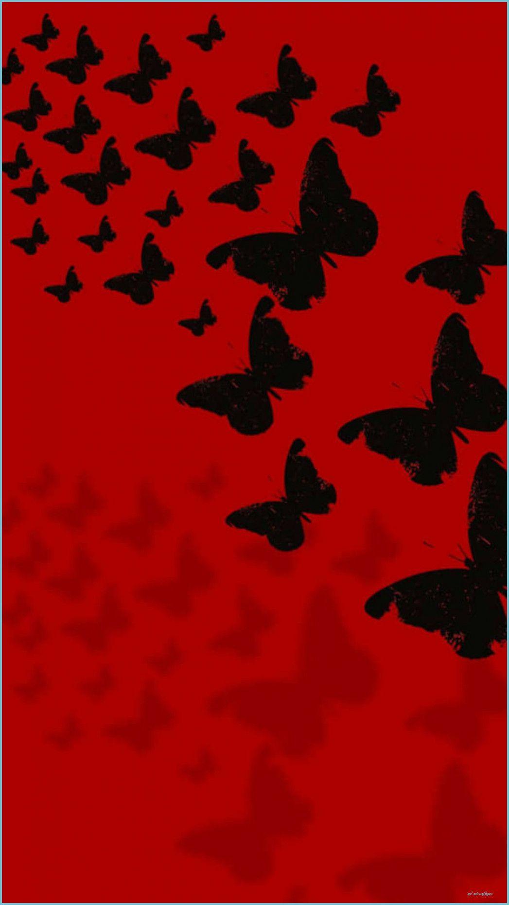 Cute Red Butterfly Wallpapers Top Free Cute Red Butterfly Backgrounds Wallpaperaccess