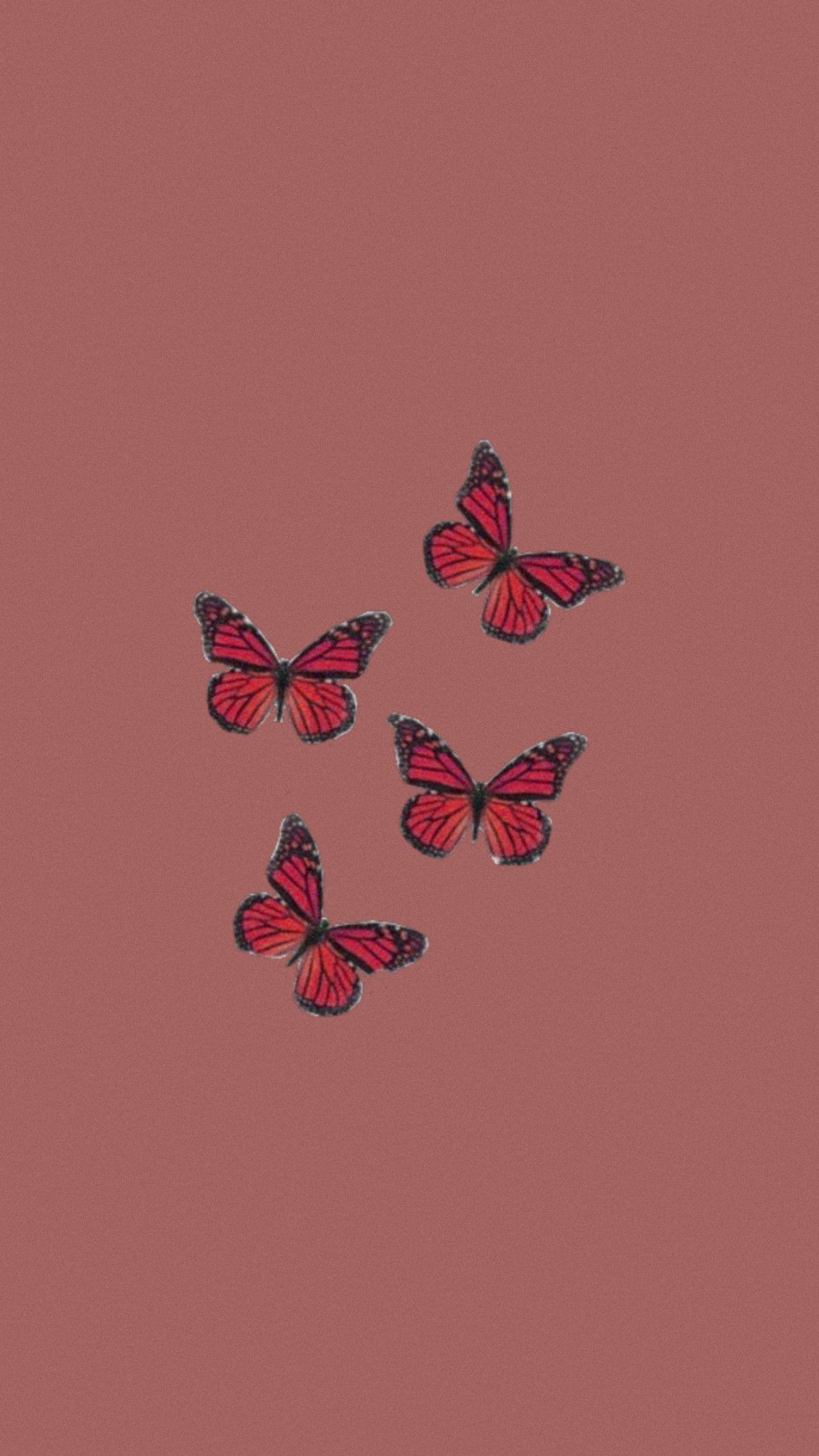 Gucci Butterfly Wallpapers - Top Free Gucci Butterfly Backgrounds ...