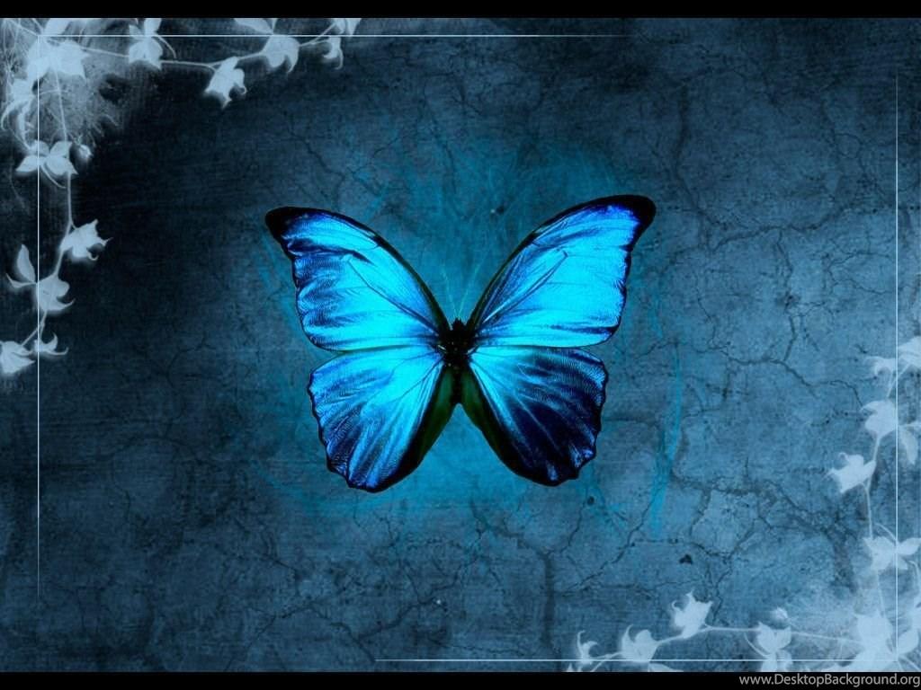 1024x768 Blue Butterfly Wallpaper Image