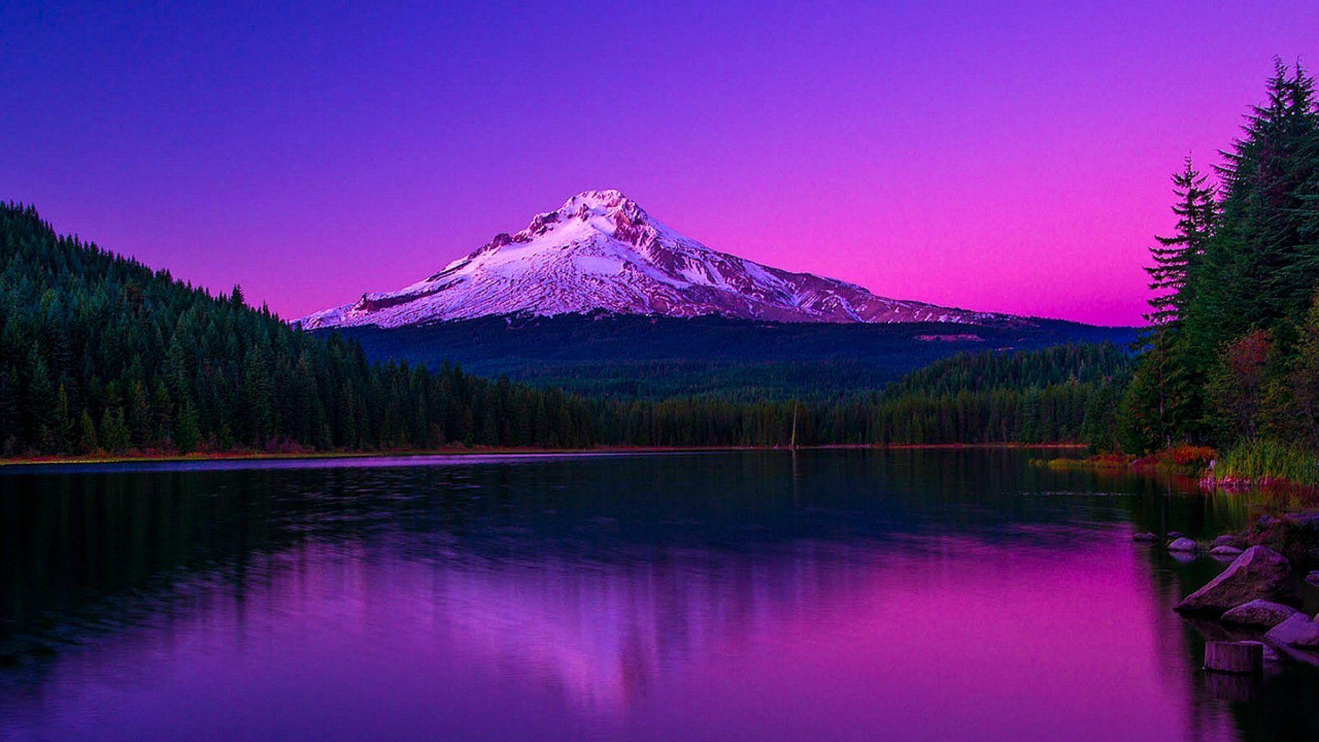 1920x1080 Mountains: Hood Usa Mountain Oregon Sunset Forest Photo Composition