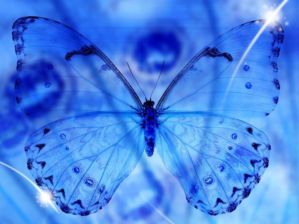 1024x768 Blue Butterfly Wallpaper Background