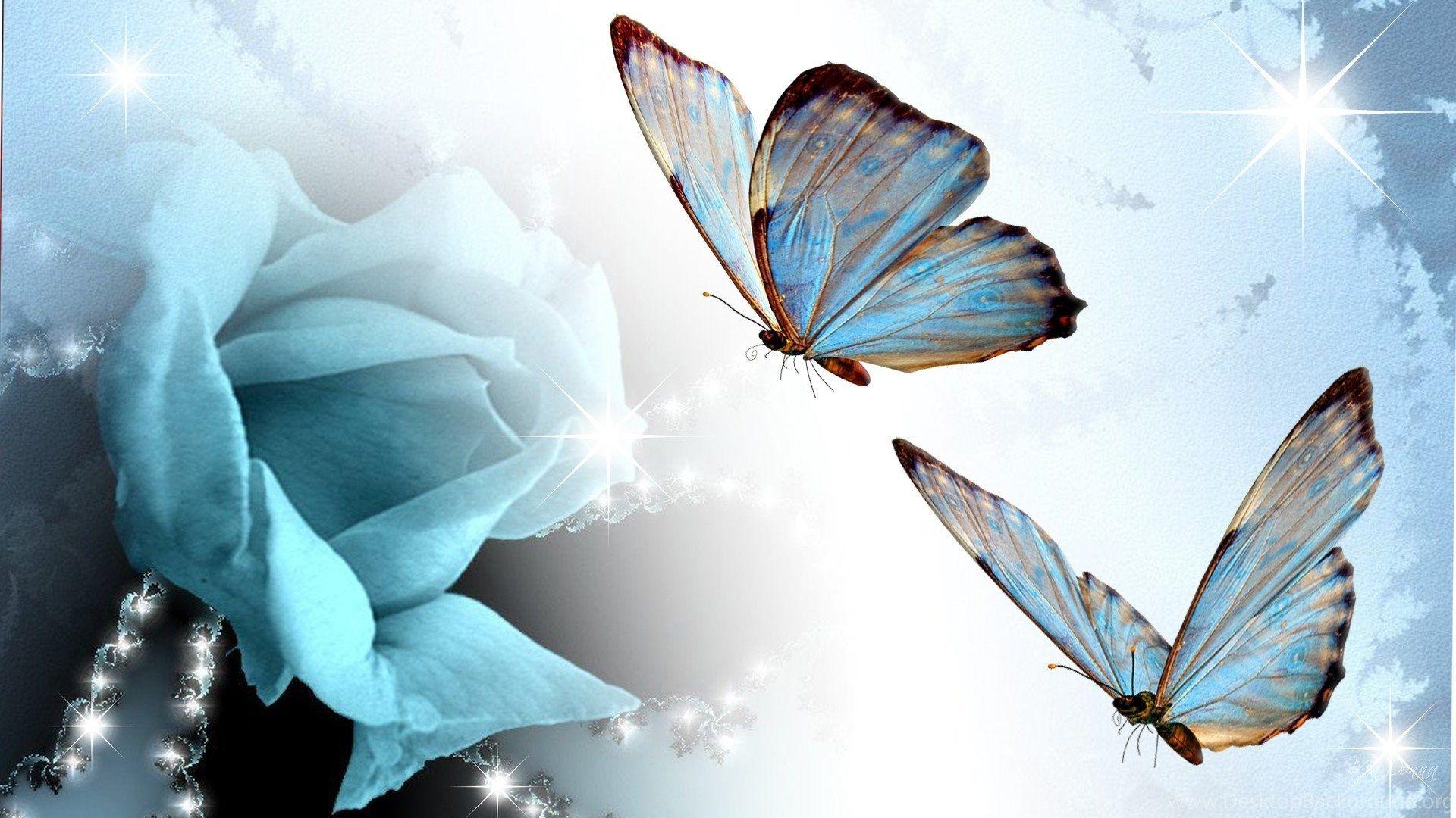 1920x1080 Wallpaper Butterflies Rose And Abstract Blue Butterfly 1920x1080. Desktop Background