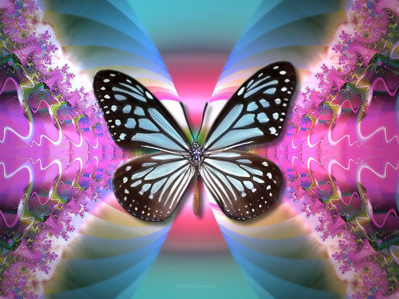 Blue and Pink Butterfly Wallpapers - Top Free Blue and Pink Butterfly ...