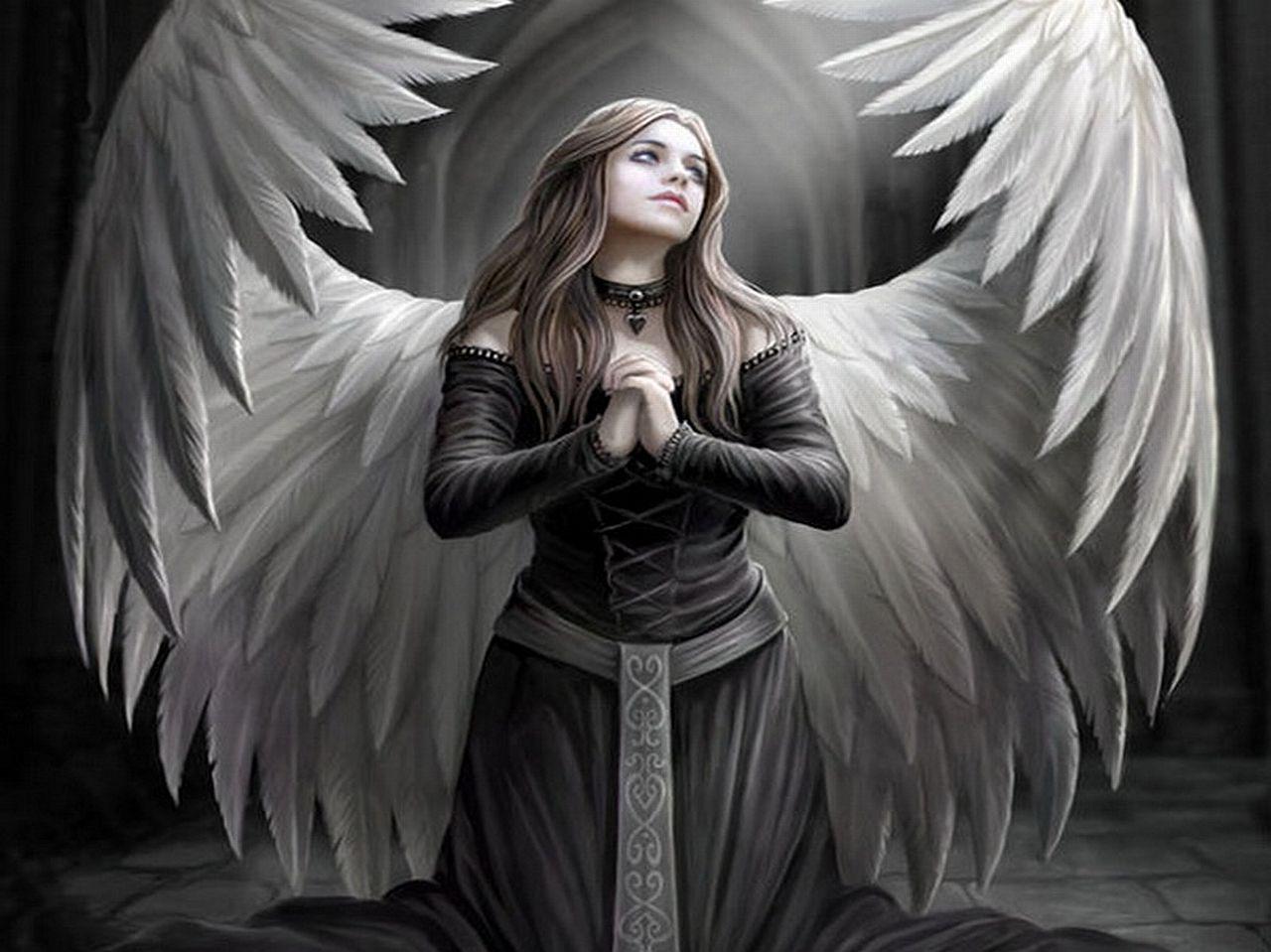 1280x959 Anne Stokes Wallpaper. Anne Stokes Wallpaper, Anne Stokes Witch Wallpaper and Fairy Anne Stokes Wallpaper