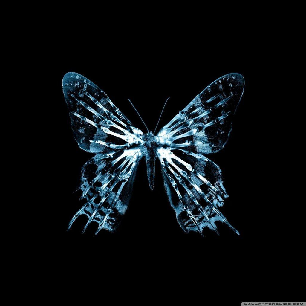 Galaxy Butterfly Wallpapers - Top Free Galaxy Butterfly Backgrounds ...