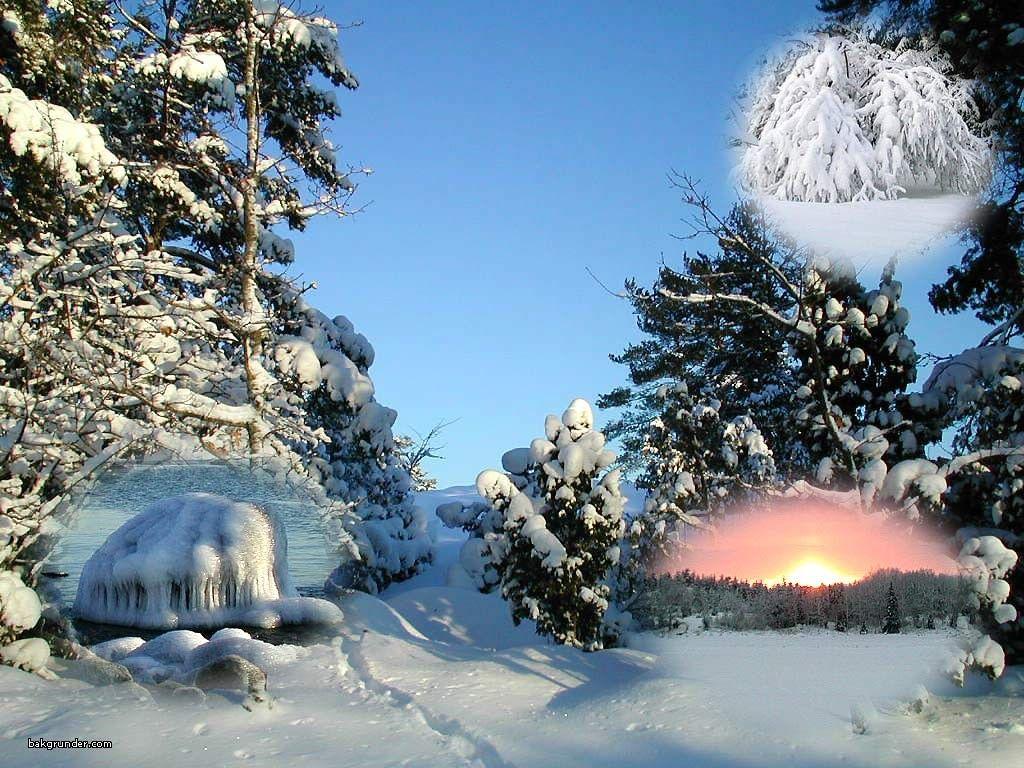 1024x768 Winter: Sweden Cold Sky Beautiful Scandinavia Sun Snow Ice Branches