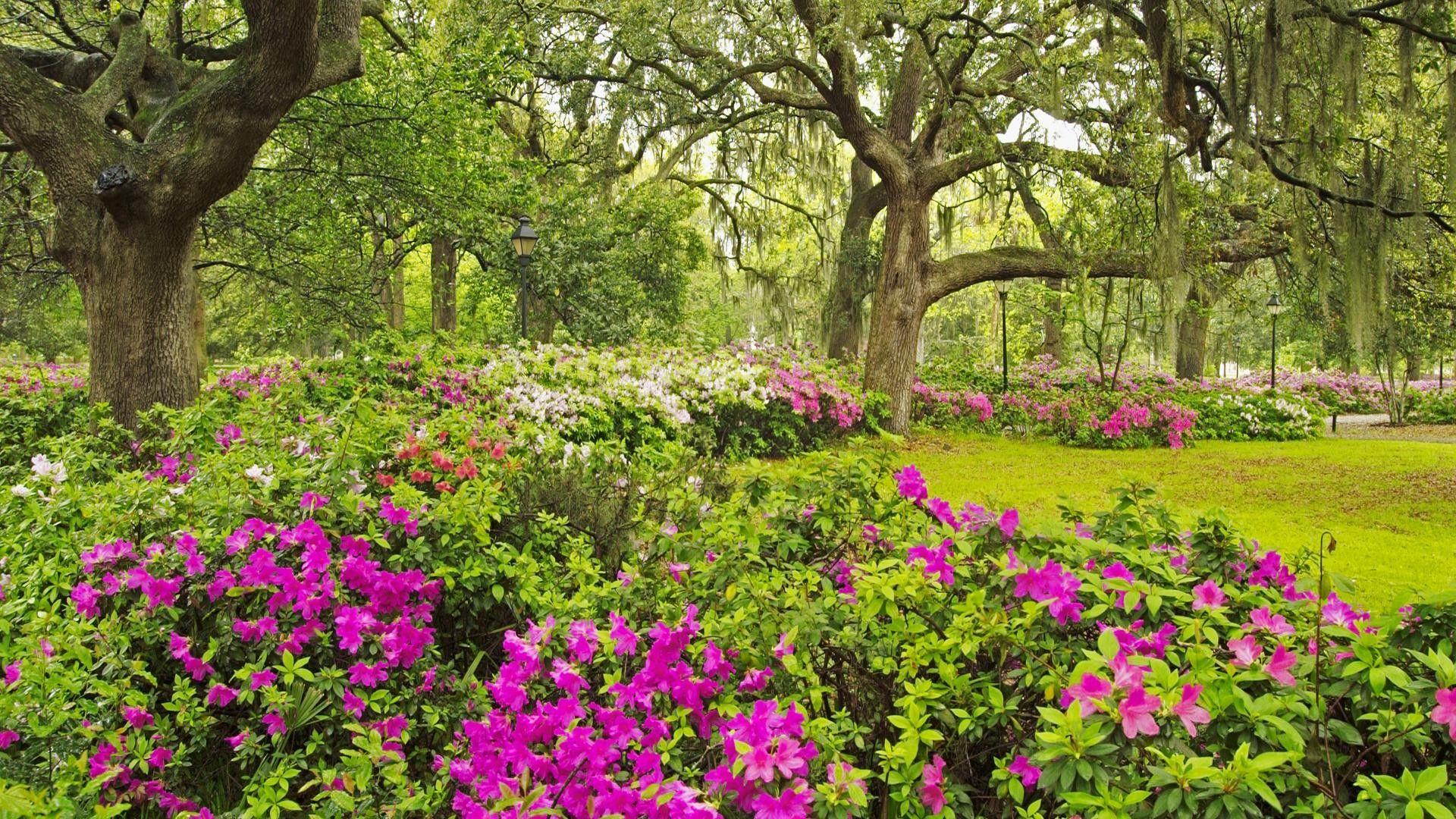 1920x1080 Garden Desktop Background. Beautiful Garden Wallpaper, Garden Wallpaper and Flower Garden Wallpaper