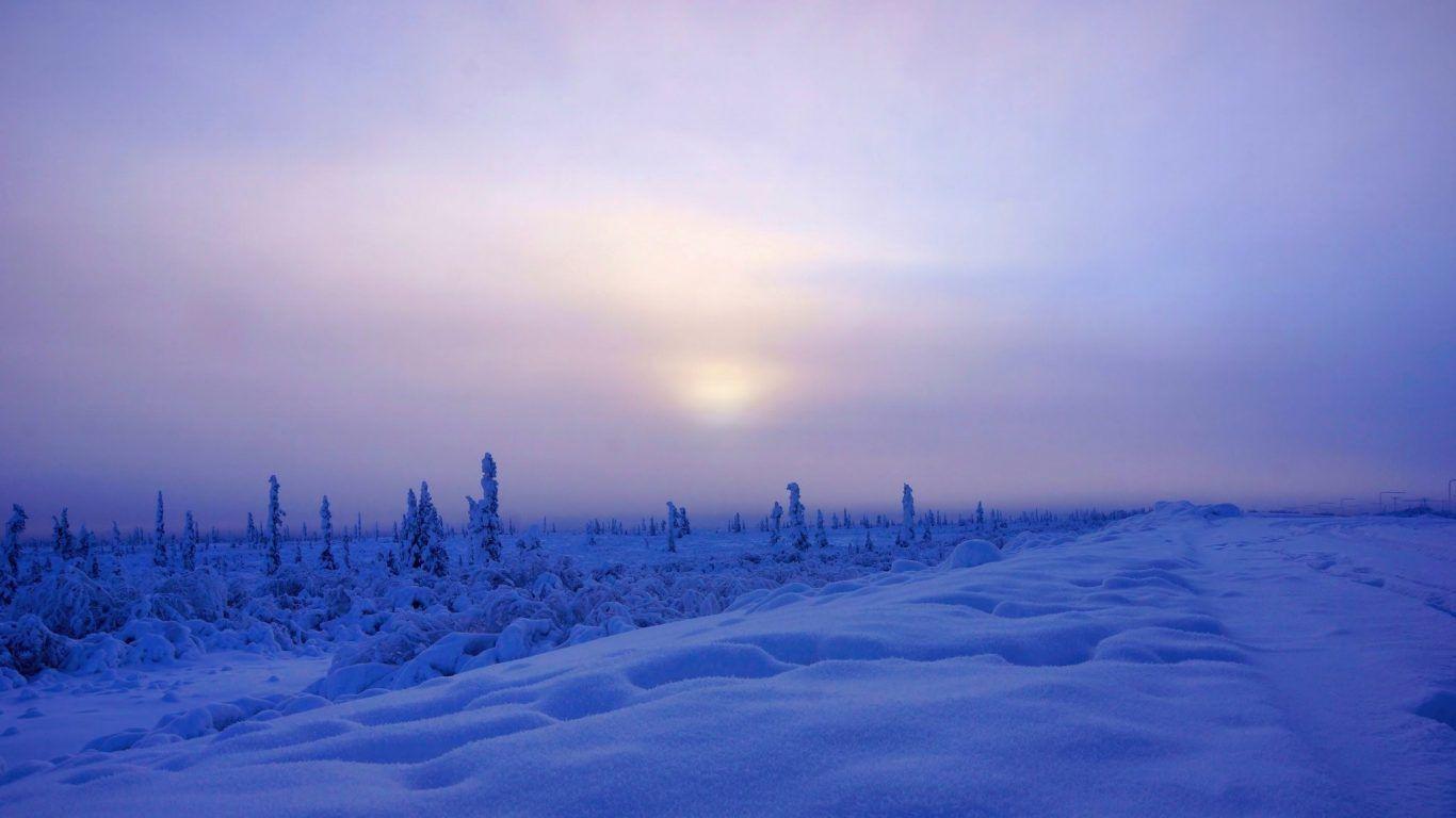 1366x768 Sunrise Sunset: Sweden Lake Dalarna Sunrise Moss Nature Wallpaper