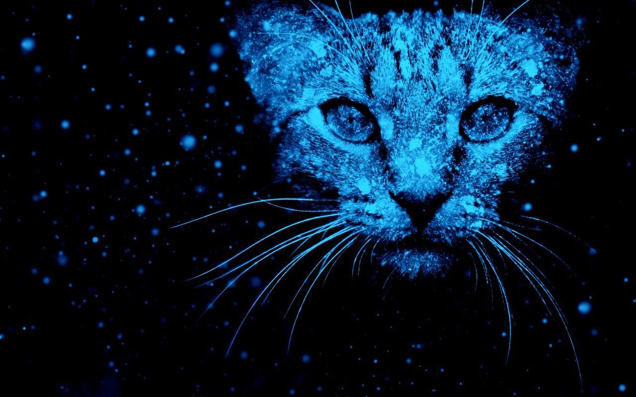 1280x800 Wallpaper Cat, Snow, Neon blue, HD, Creative Graphics,. Wallpaper for iPhone, Android, Mobile and Desktop