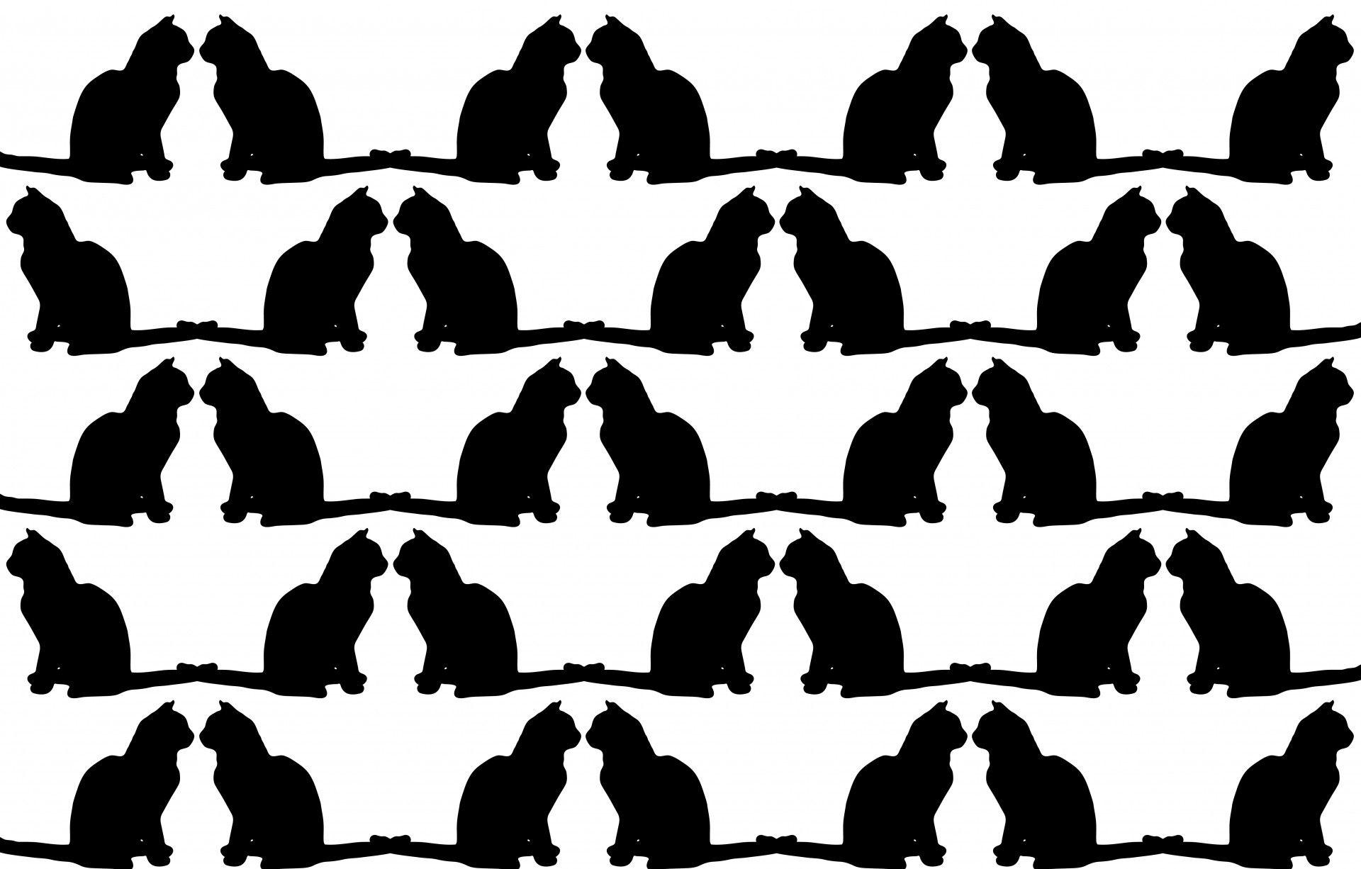 1920x1226 Cat Silhouette Wallpaper