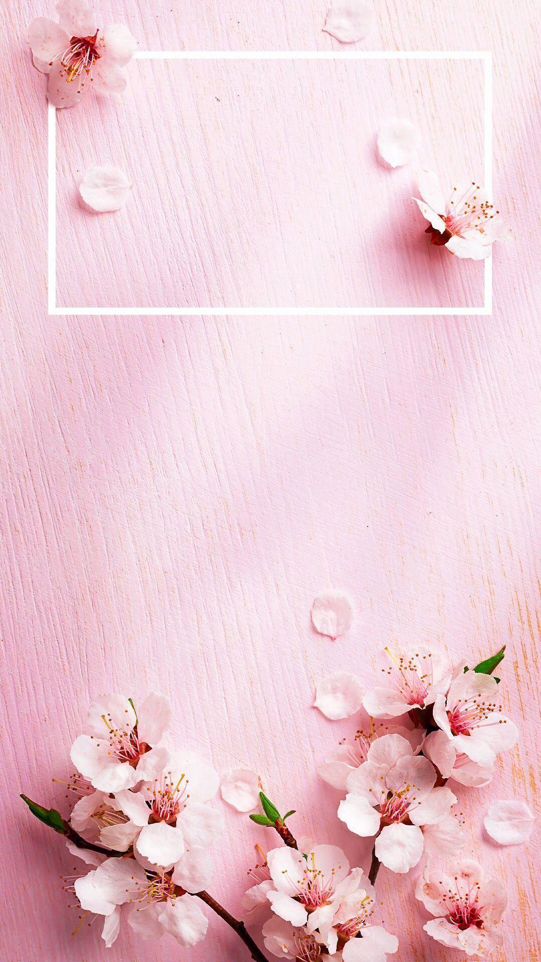 Cute Rose Gold Wallpapers Top Free Cute Rose Gold Backgrounds