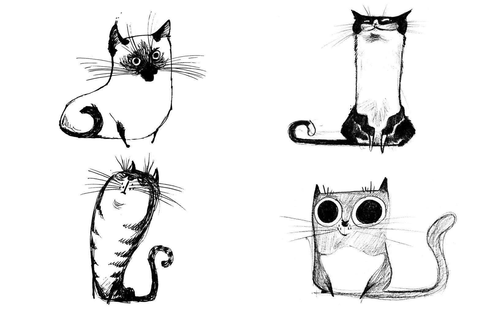 1600x1035 Cat Drawings Wallpaper