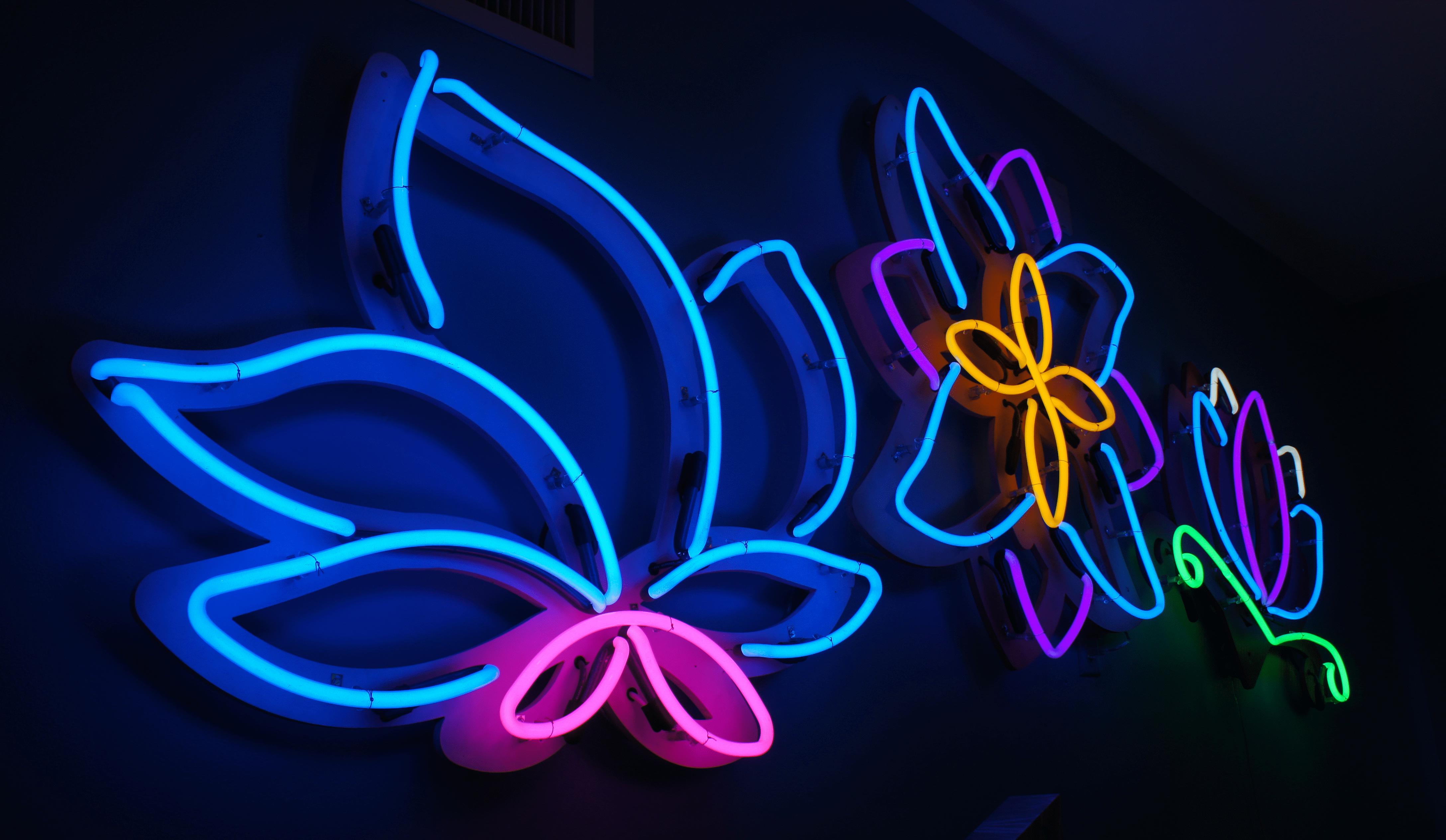 4352x2528 Neon Flowers. Neon flowers, Neon signs, Neon