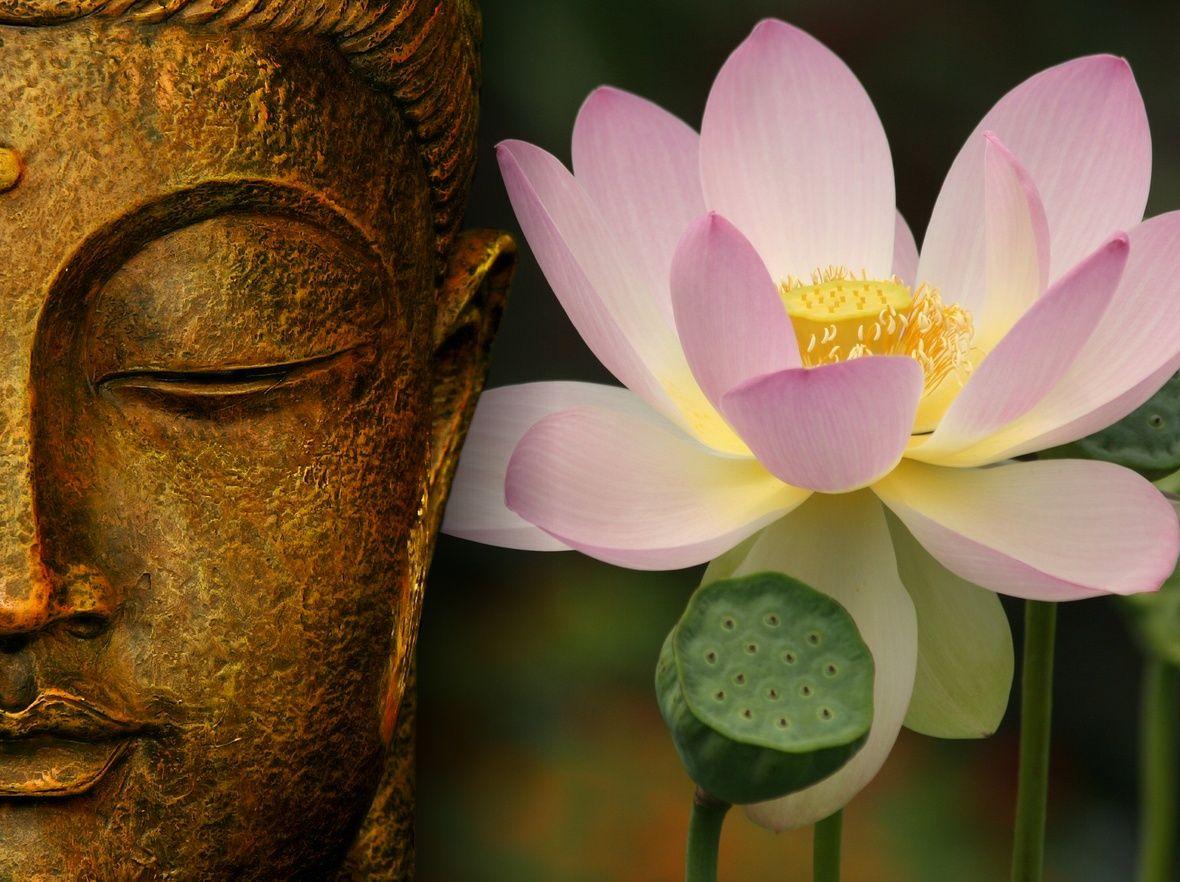1180x882 Life's Query and Awakening