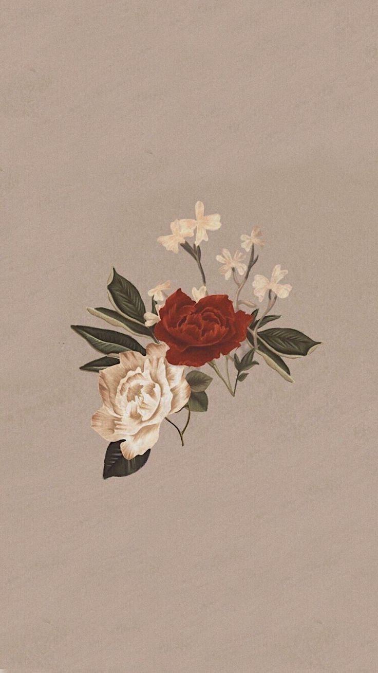736x1309 Shawn Mendes vibes Brown and flowers wallpaper. Çizimler, Halloween sanatı, Çizim