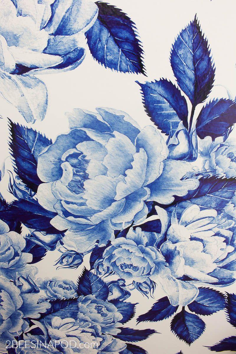 Blue and White Flower Wallpapers - Top Free Blue and White Flower