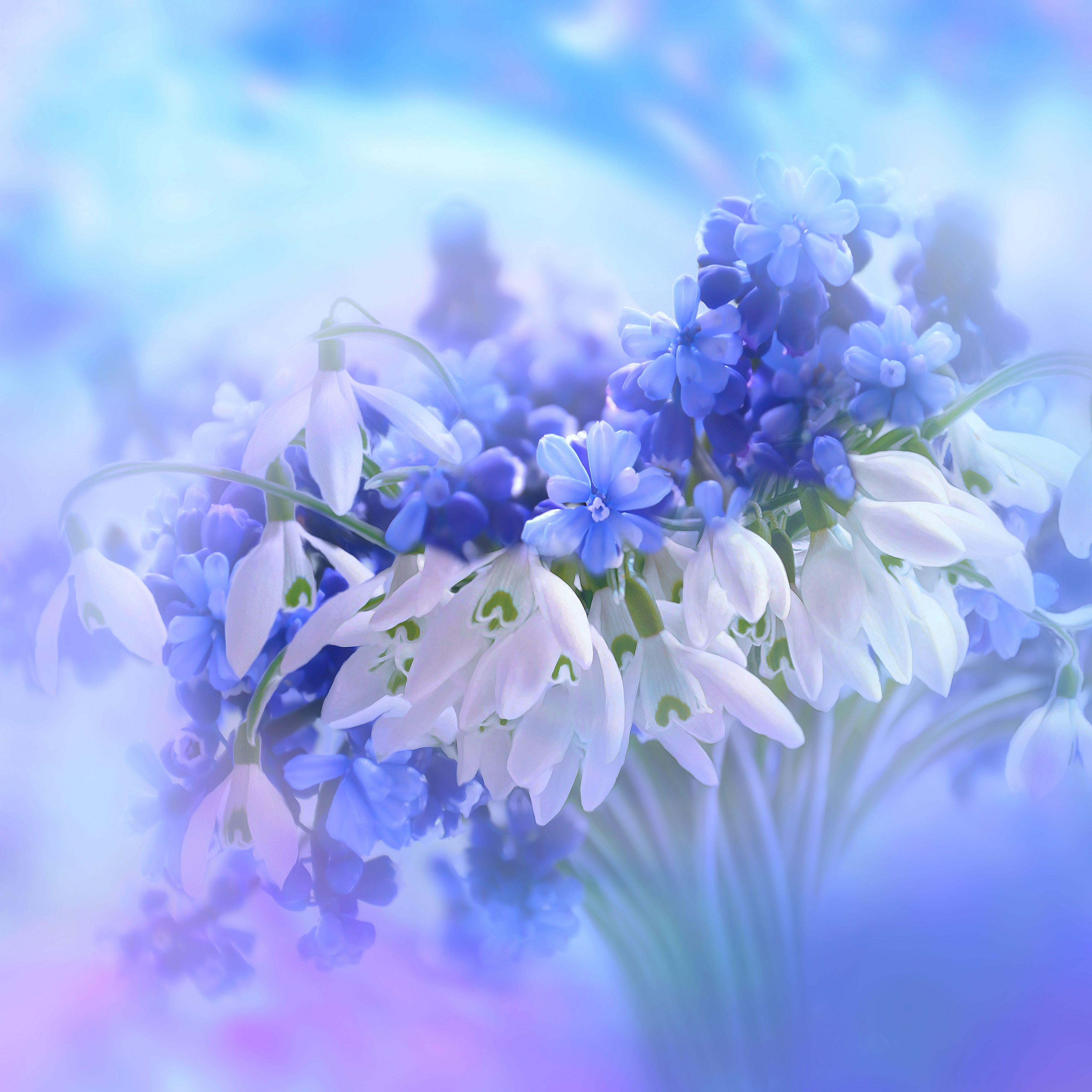 Collection 98+ Images blue and white flower wallpaper Excellent