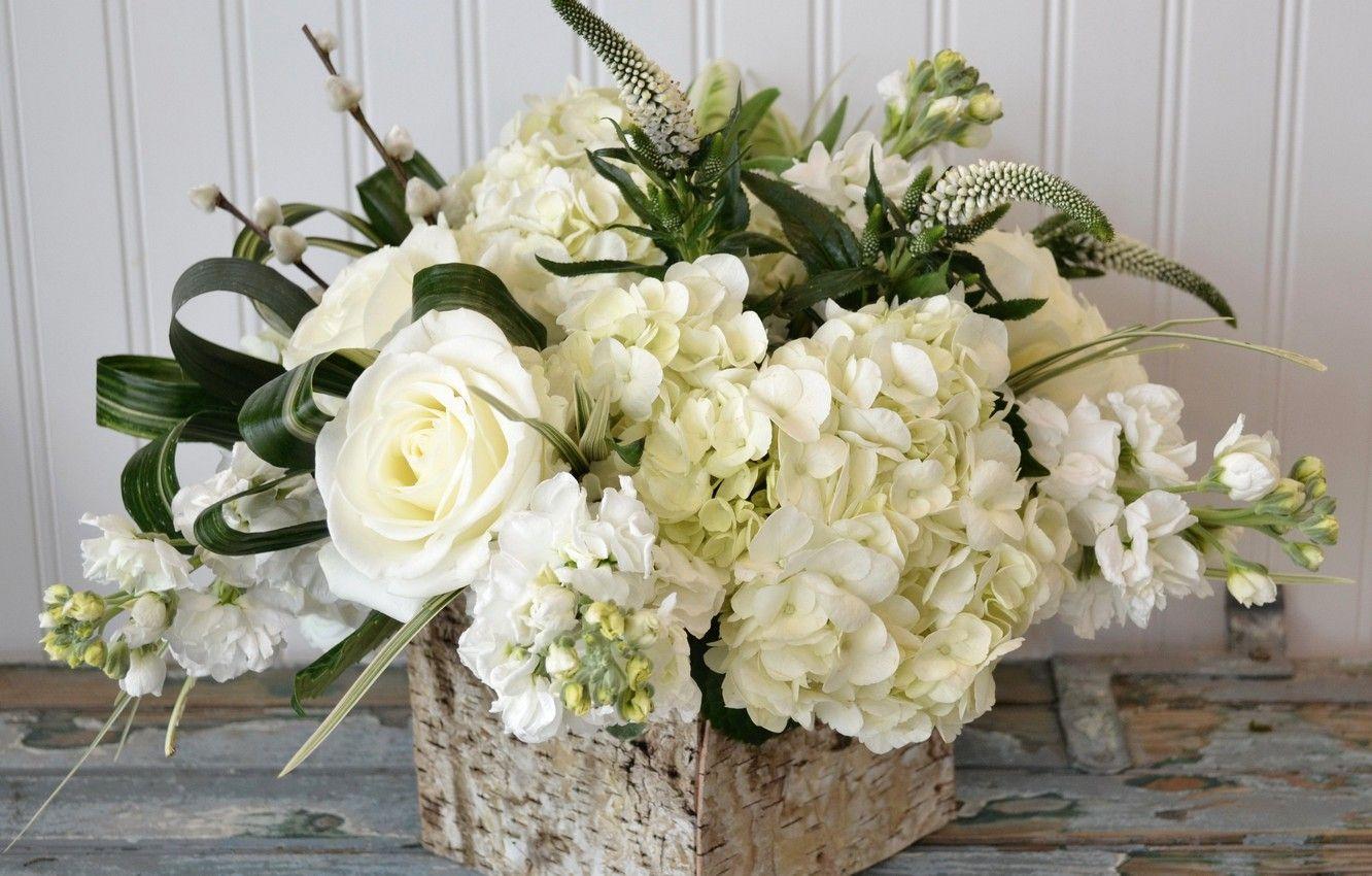 White Hydrangea Wallpapers - Top Free White Hydrangea Backgrounds