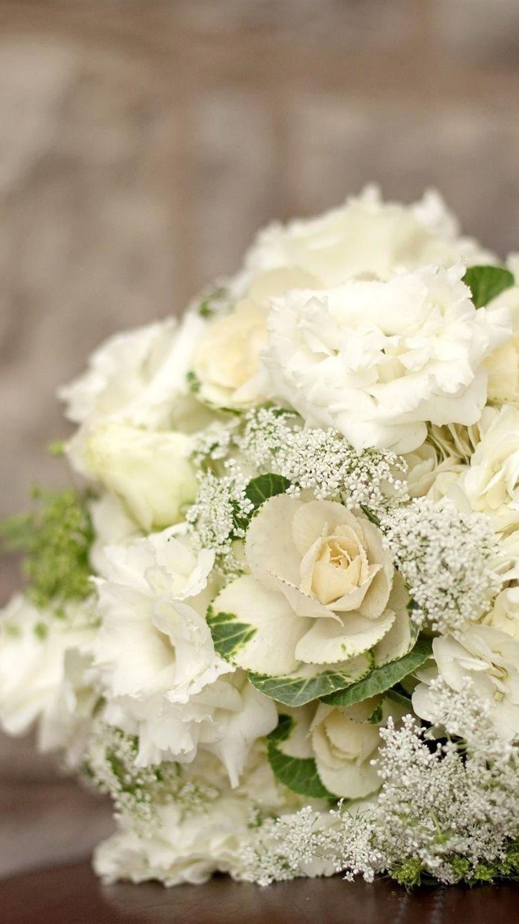 White Hydrangea Wallpapers - Top Free White Hydrangea Backgrounds ...