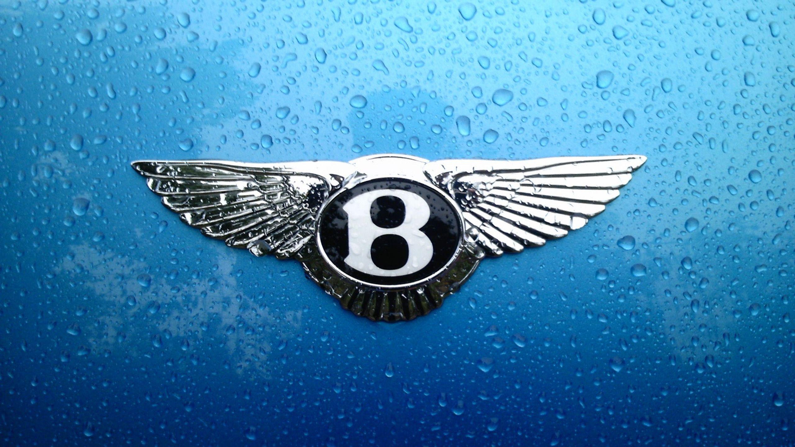 2560x1440 Bentley Logo Wallpaper HD