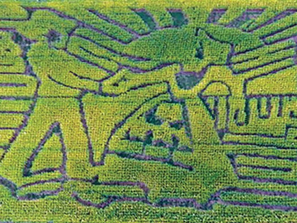 Corn Maze Wallpapers - Top Free Corn Maze Backgrounds - WallpaperAccess